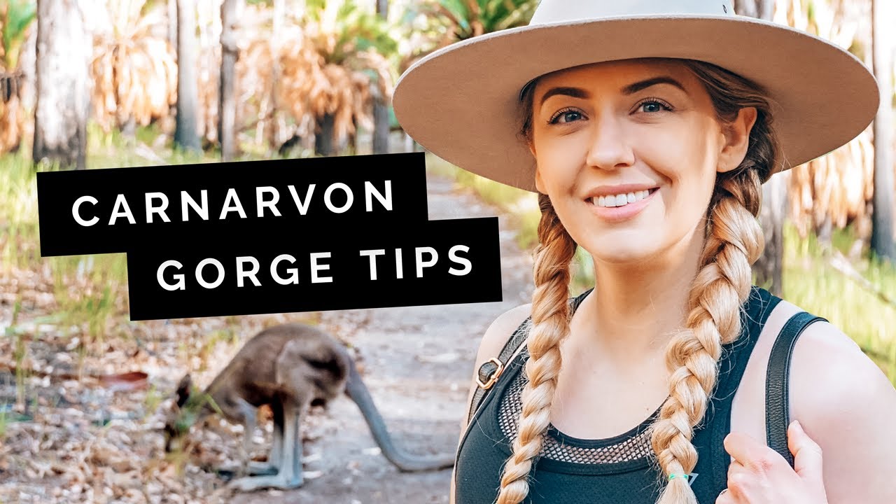 How to travel QUEENSLAND's Carnarvon Gorge 🇦🇺 Watch this first!