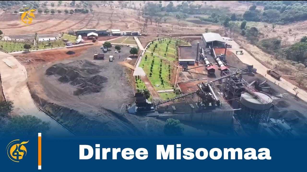 Wallaggaa Dirree Misoomaa