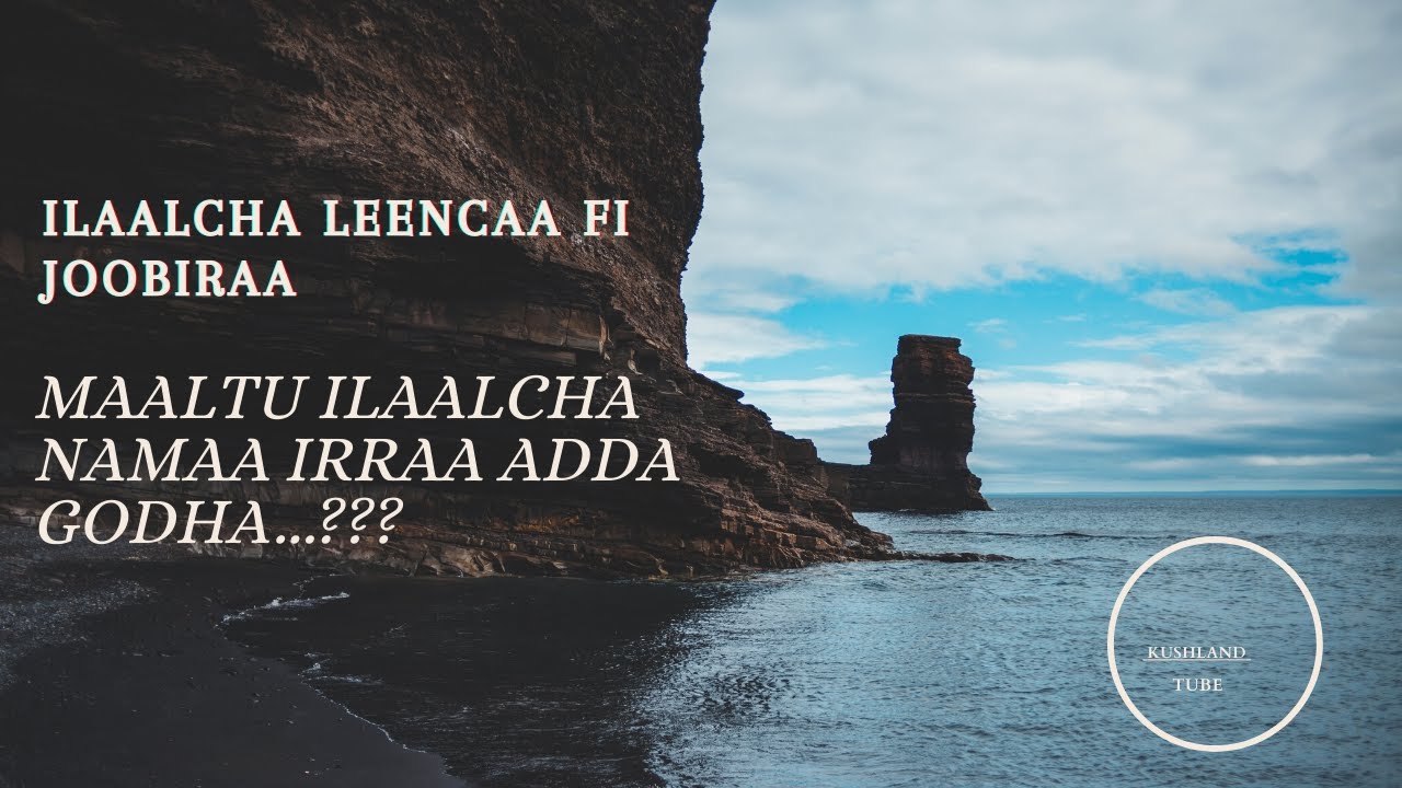 ILAALCHA LEENCAA FI JOOBIRAA Maaltu ilaalcha namaa irraa adda isaan godha??