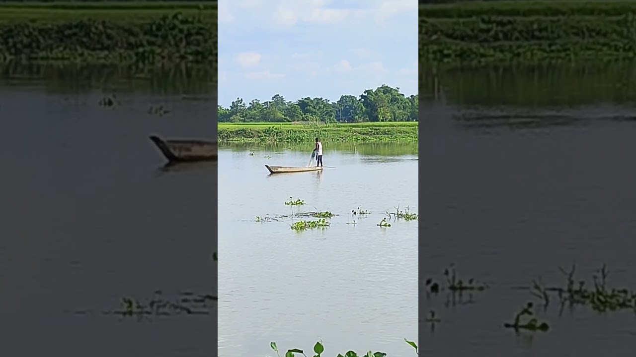 Release fish in his habitat💦