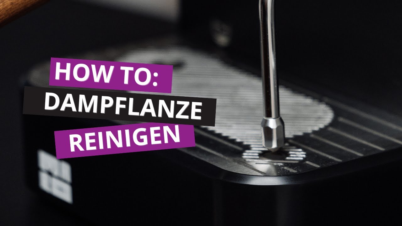💨 MARO Model 1: Dampflanze reinigen – Hygienisch, einfach, schnell!