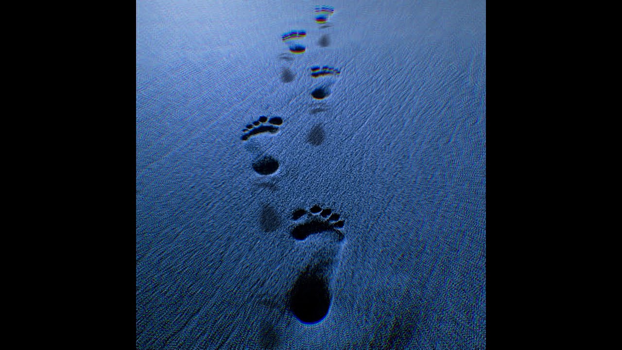 Zubi - Walk Like Me (Official Lyric Video)