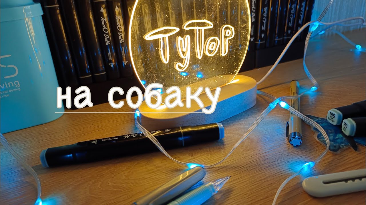 🐶ТУТОР НА СОБАКУ/🐾