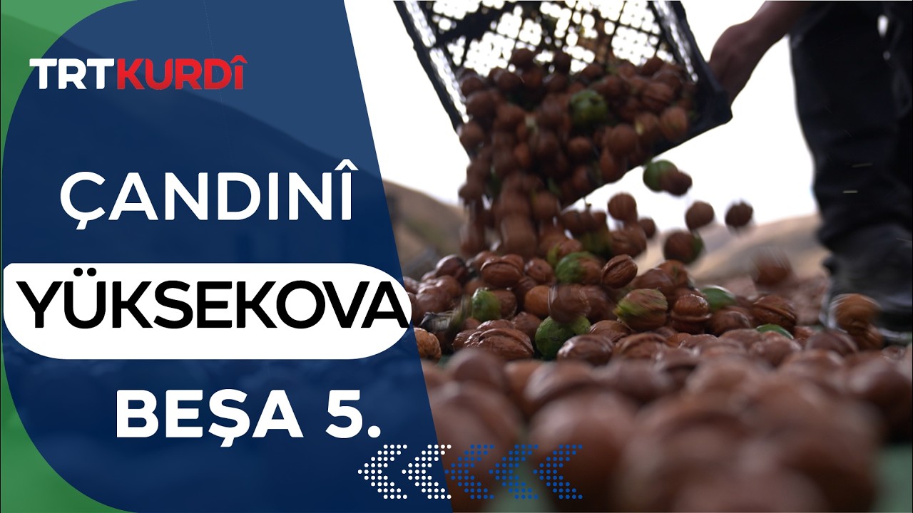 Çandinî - Beşa 5. (Yüksekova)