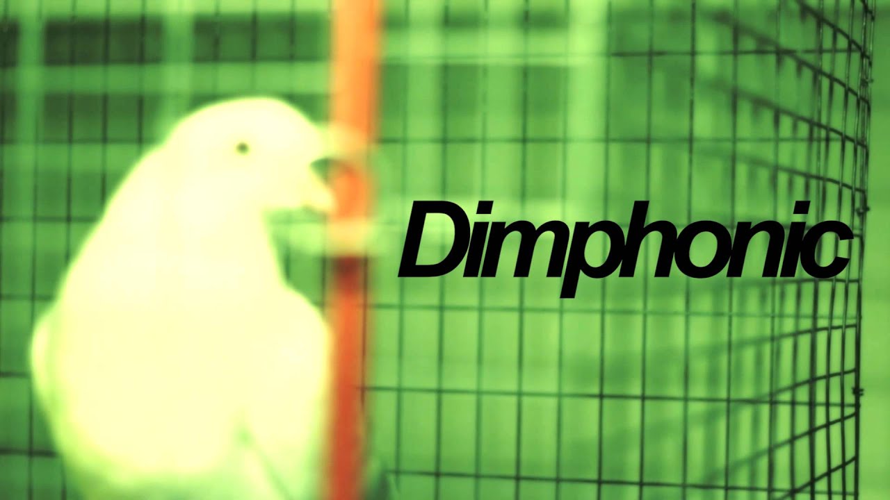 Dimphonic - High School Nightmare