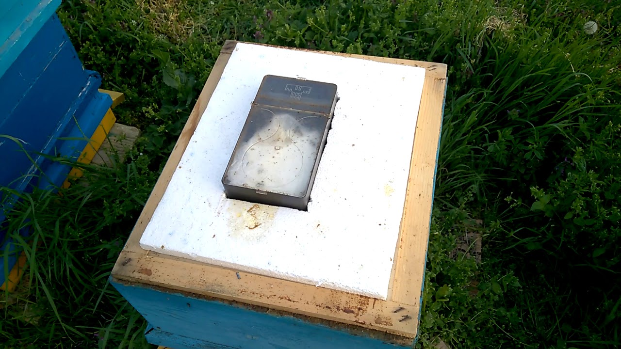 Pratik aricilik ana ari uretmek icin kolay yontemler ve bolme nasil yapilir