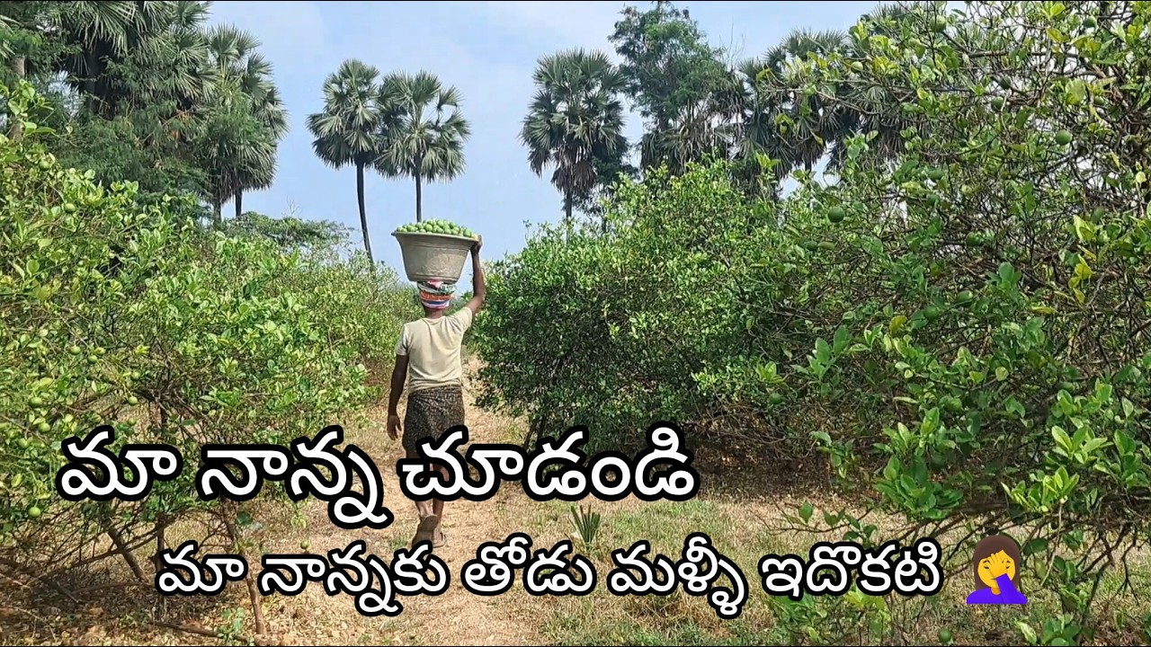 ఇవాళ నేను మా నాన్న ఏం చేస్తున్నామో చూపిస్తారా అండి 👌/ అసలు ఎంత ఉదయాన్నే ఏం చేస్తారు 🤔