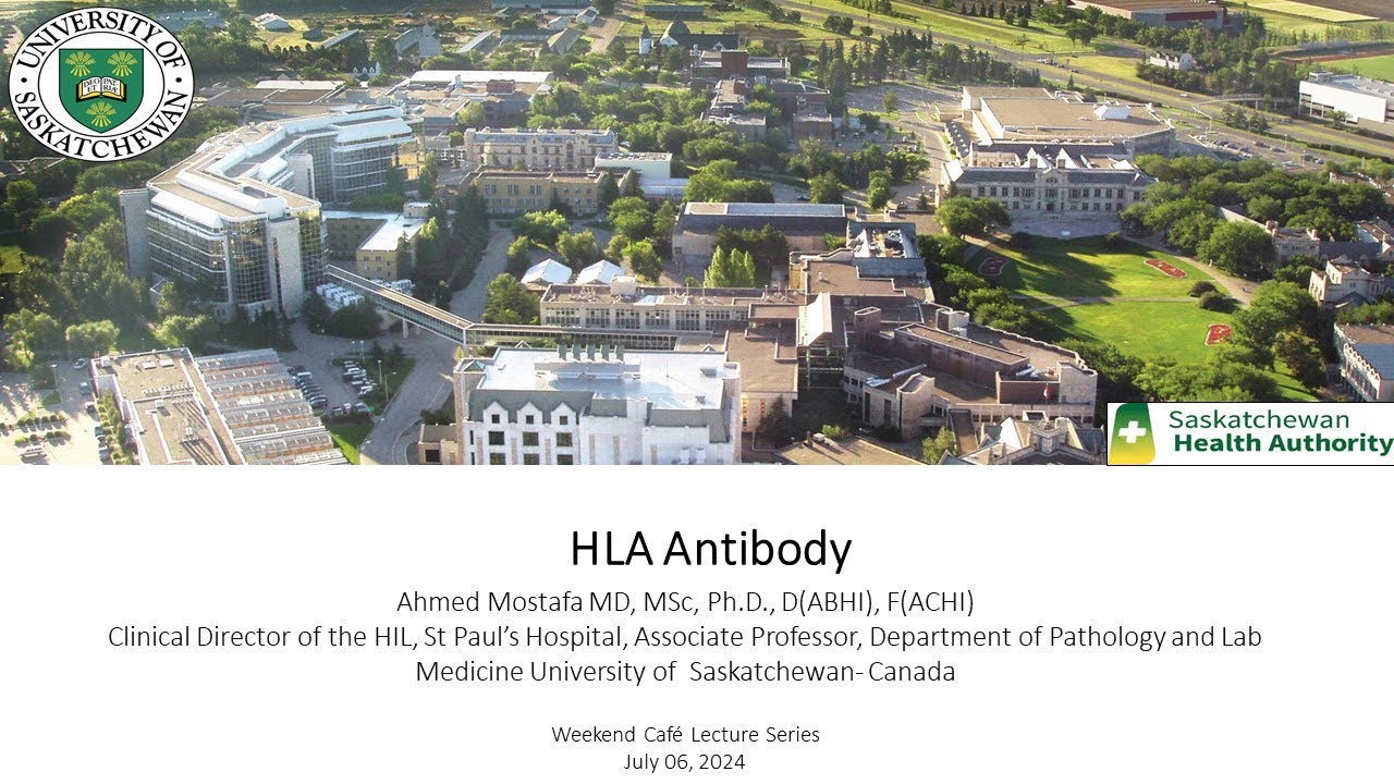HLA Antibody in Arabic 2