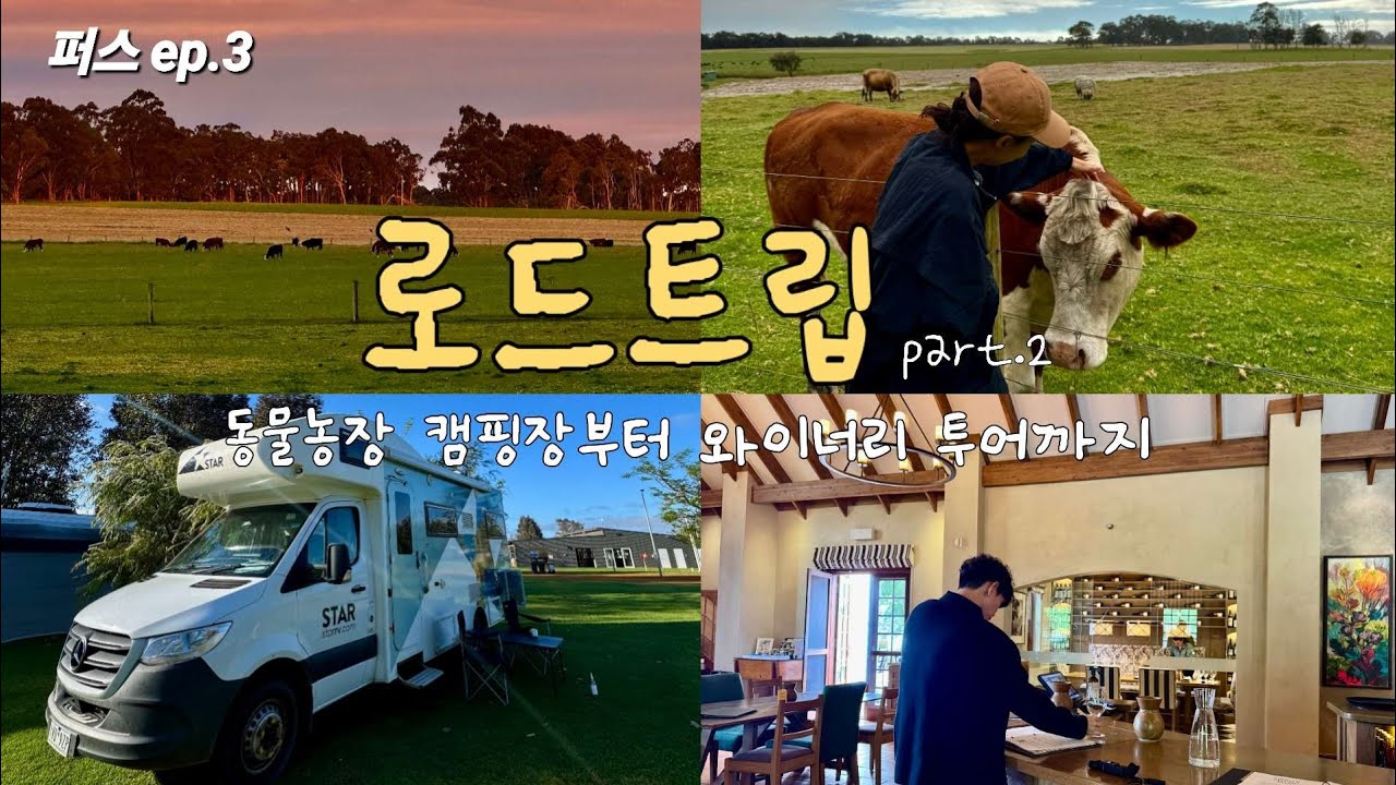 퍼스 여행기3] 캠퍼밴 타고 떠난 서호주 I 부부 로드트립 브이로그 I 마가렛리버 와이너리 투어 I 남부 여행 스팟 추천
