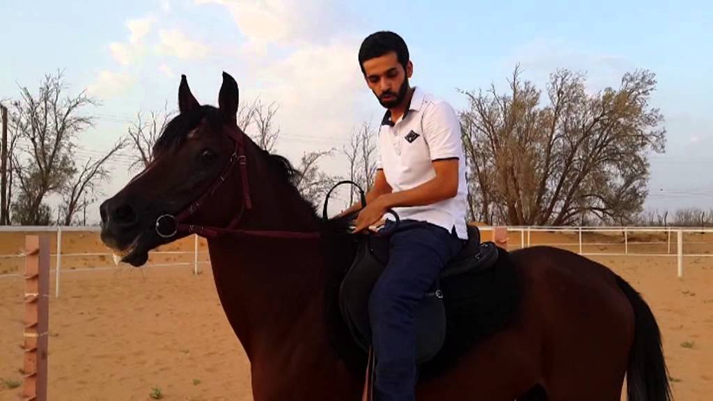 ركوب الخيل / تعليم الفروسيه والركوب الصحيح بشكل مختصرمع بدر الدوسري وفهد المريف