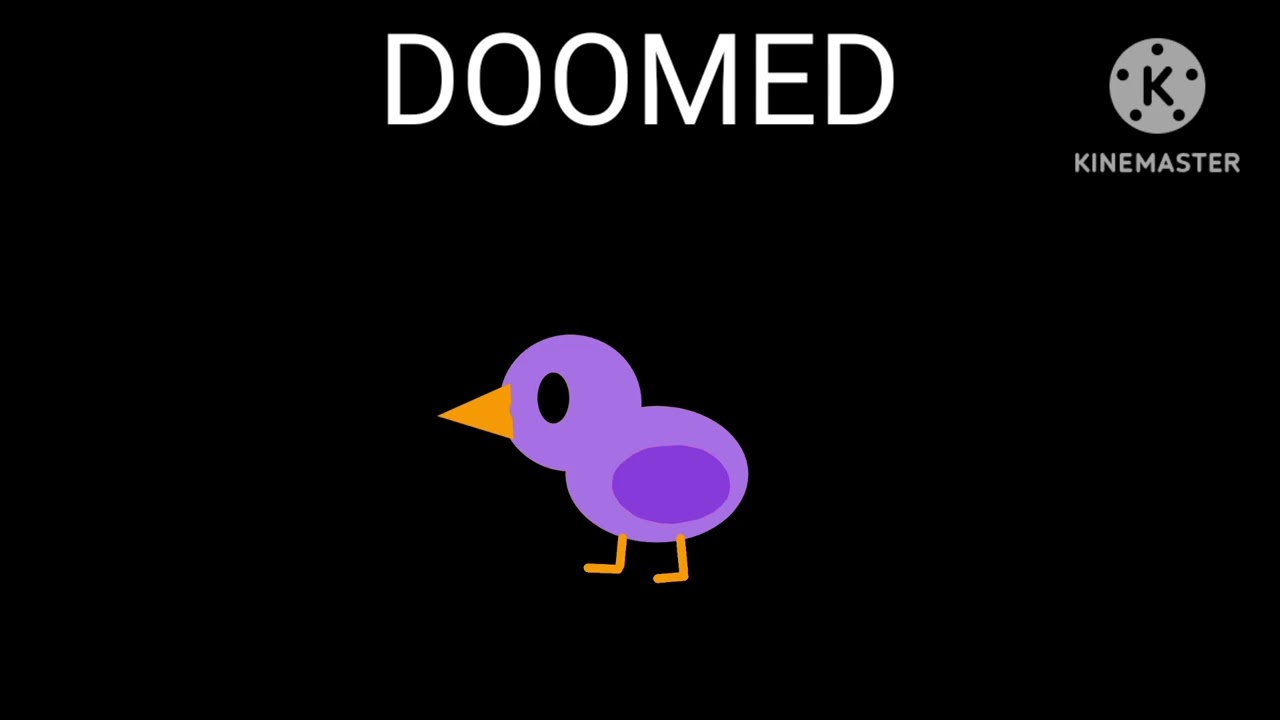 Ground Dwelling Farm Birds 41 - @TheKidsPictureShow