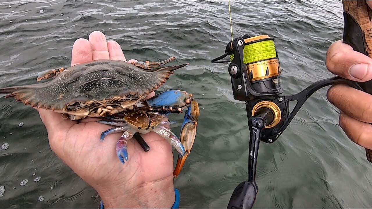 Cut Blue Crab Or Artificial Crab - Worth A Shot For Ocean Fishing?