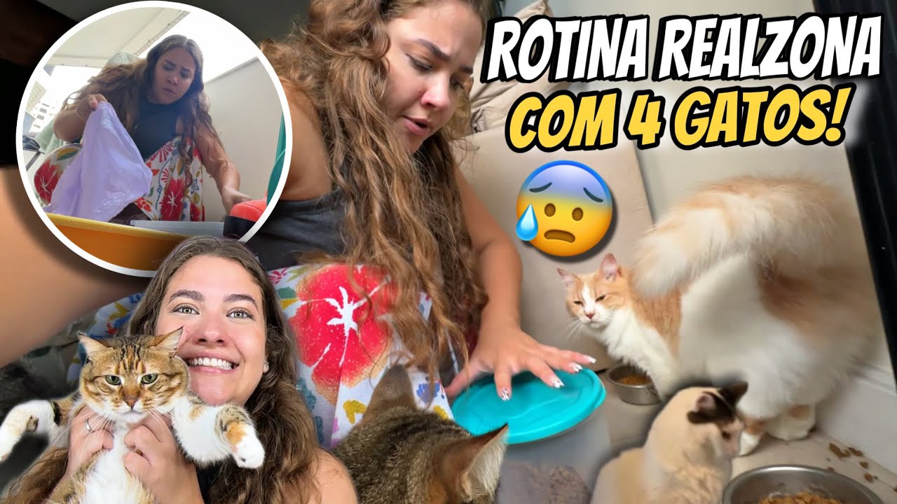 UM DIA COMIGO E COM MEUS 4 GATOS 😰❤️