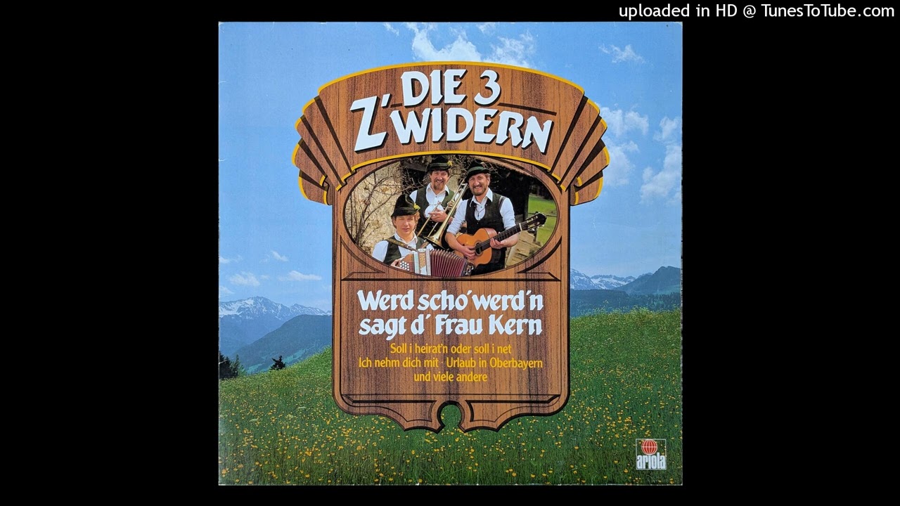 Die 3 Z&rsquo;widern - Schatz, bleib&rsquo; da