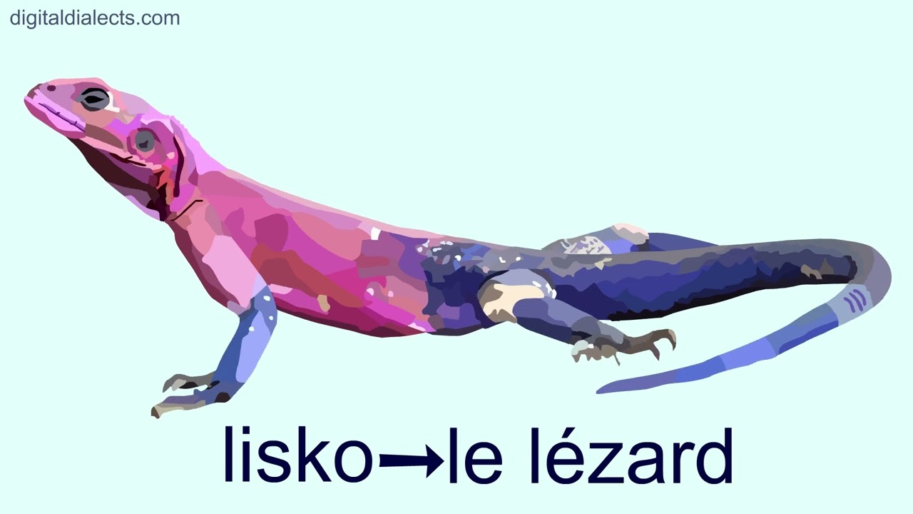 Eläinten nimiä ranskaksi 2