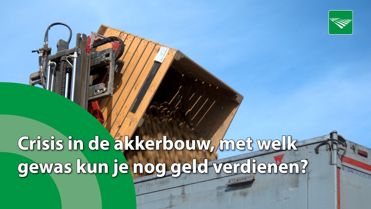 Crisis dreigt in akkerbouw, met welk gewas kun je nog geld verdienen?