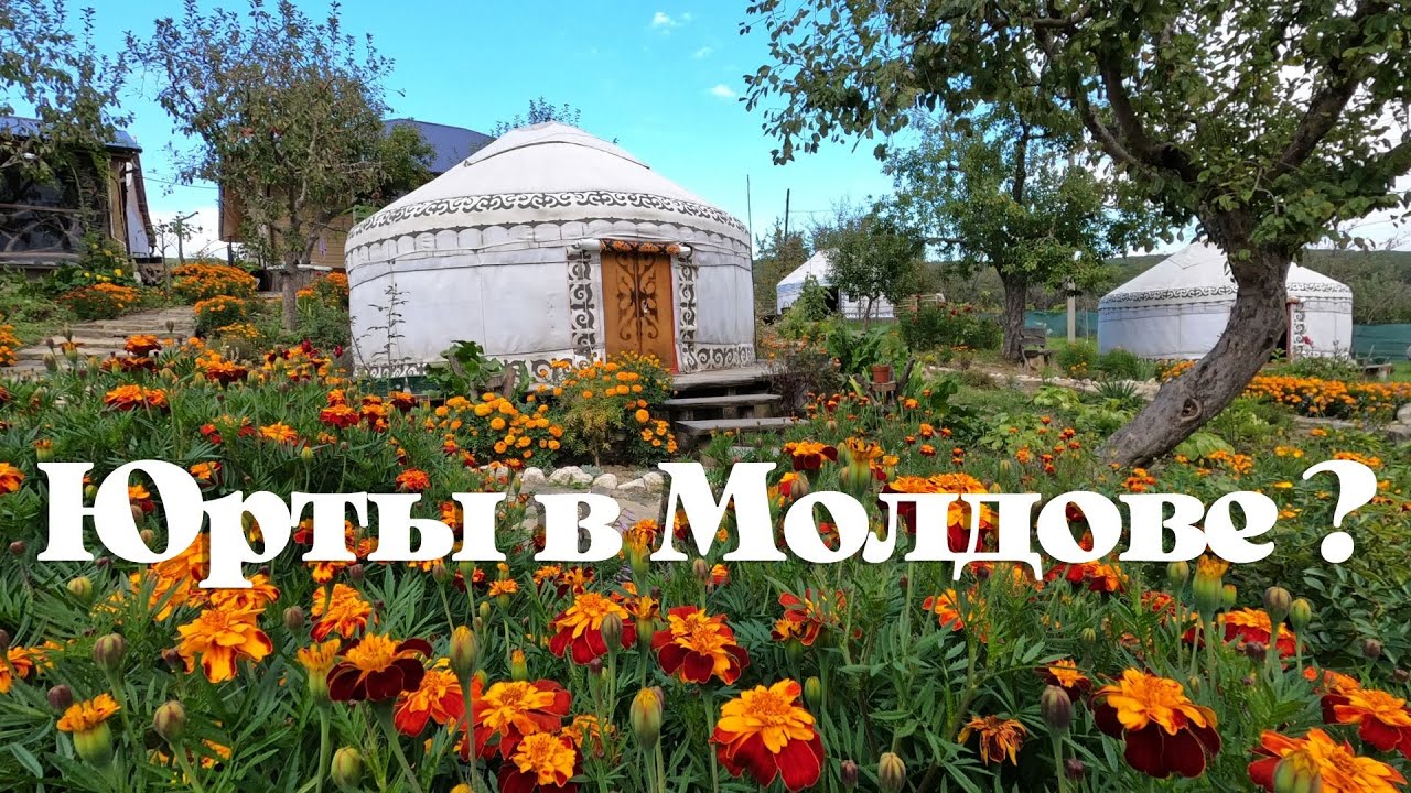 Юрты В Молдове ?