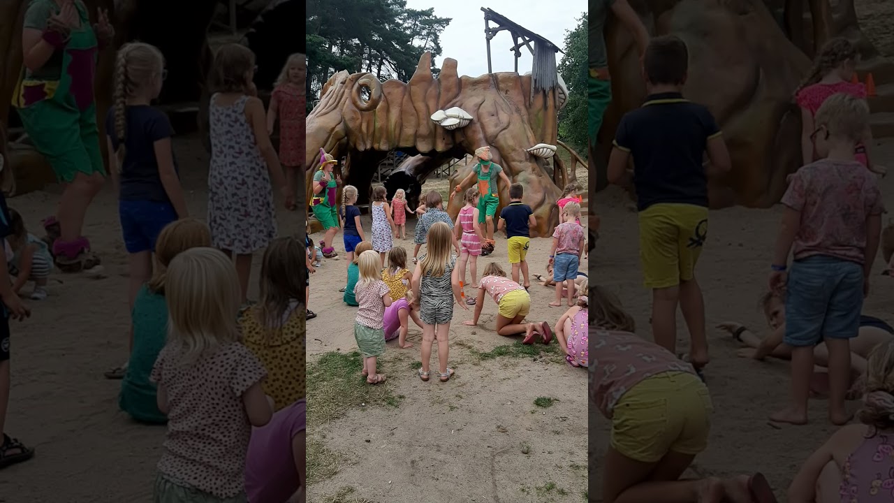 In Heldense Bos Camping 1