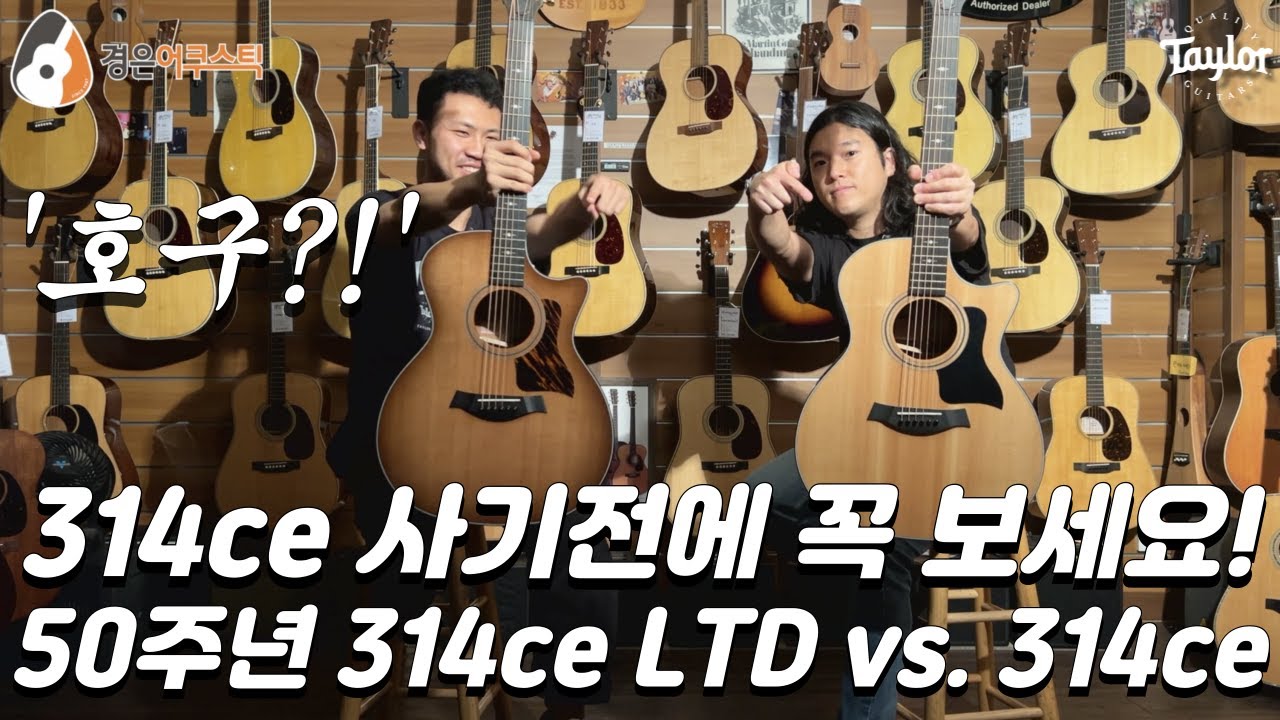 [테일러기타] 50주년 314ce LTD vs 314ce 기타 비교 (Taylor 50th Anniversary 314ce LTD vs. 314ce Guitar)