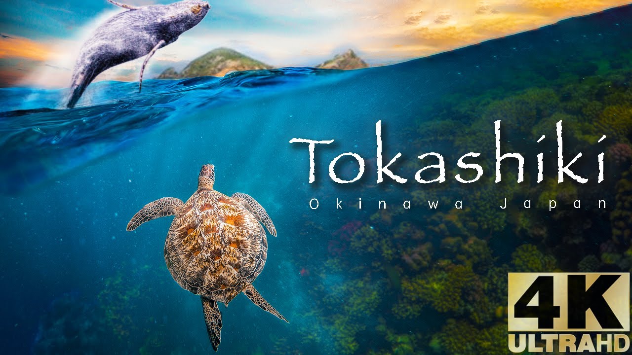 Tokashiki island : The jewel of Okinawa Japan