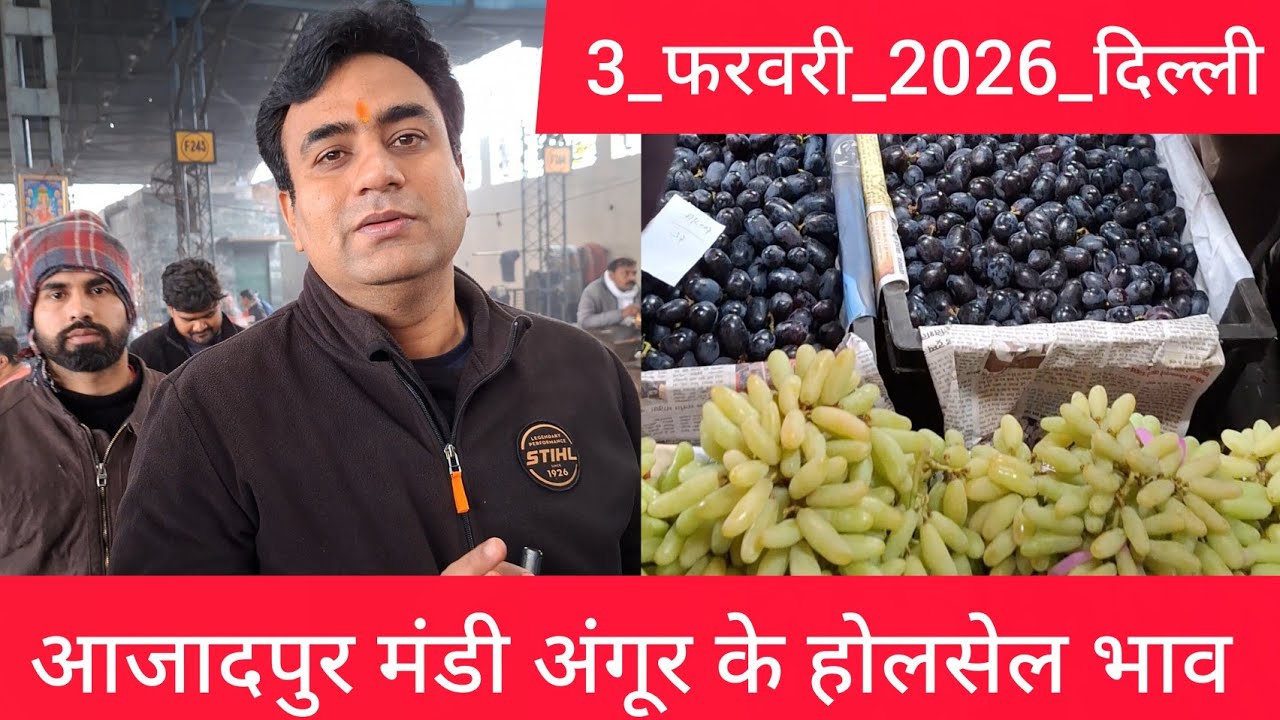 3 February 2026 दिल्ली अंगूर के होलसेल भाव azadpur delhi mandi today fruit market price 
