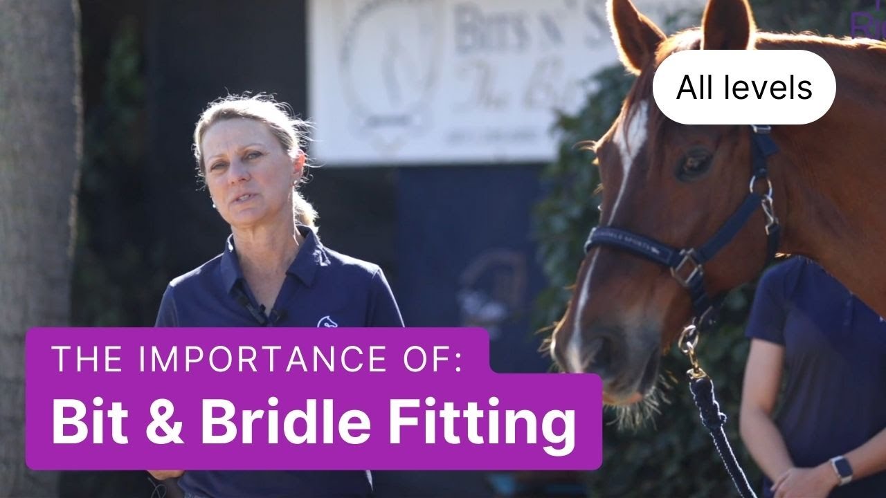Why Bit & Bridle Fitting is so Important for Your Horse's Comfort and Performance