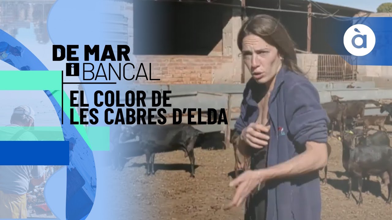 El color de les cabres a Elda - De mar i bancal