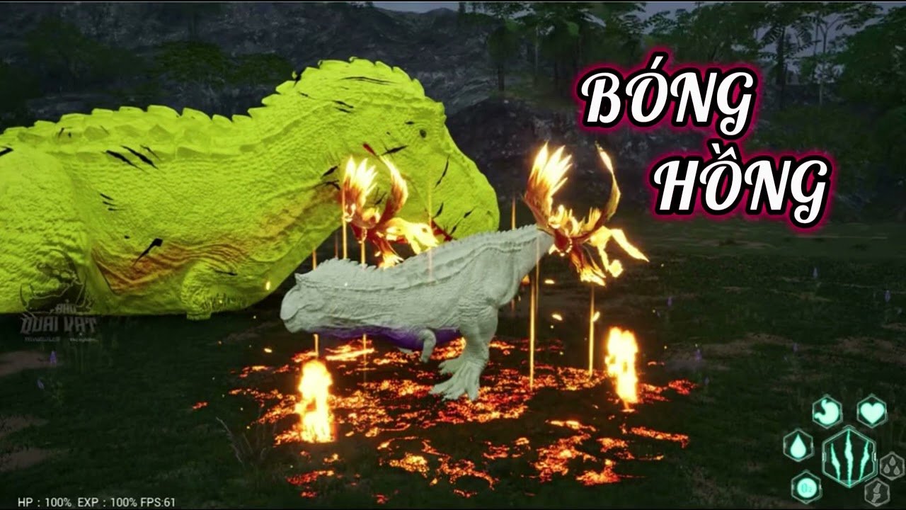 Bóng Hồng | Heni Đảo Khủng Long 