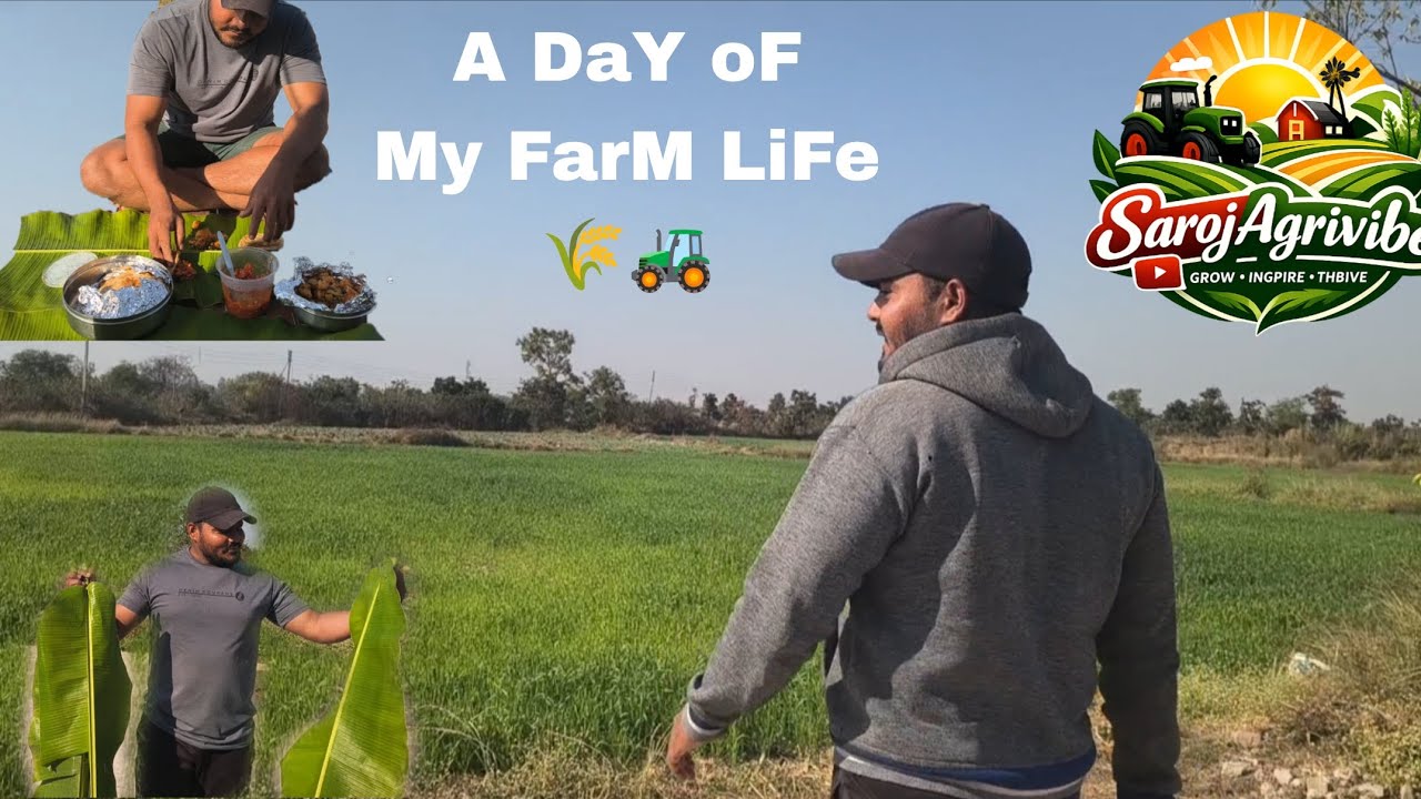 A Day Of My Farm Life🌾🚜🌴