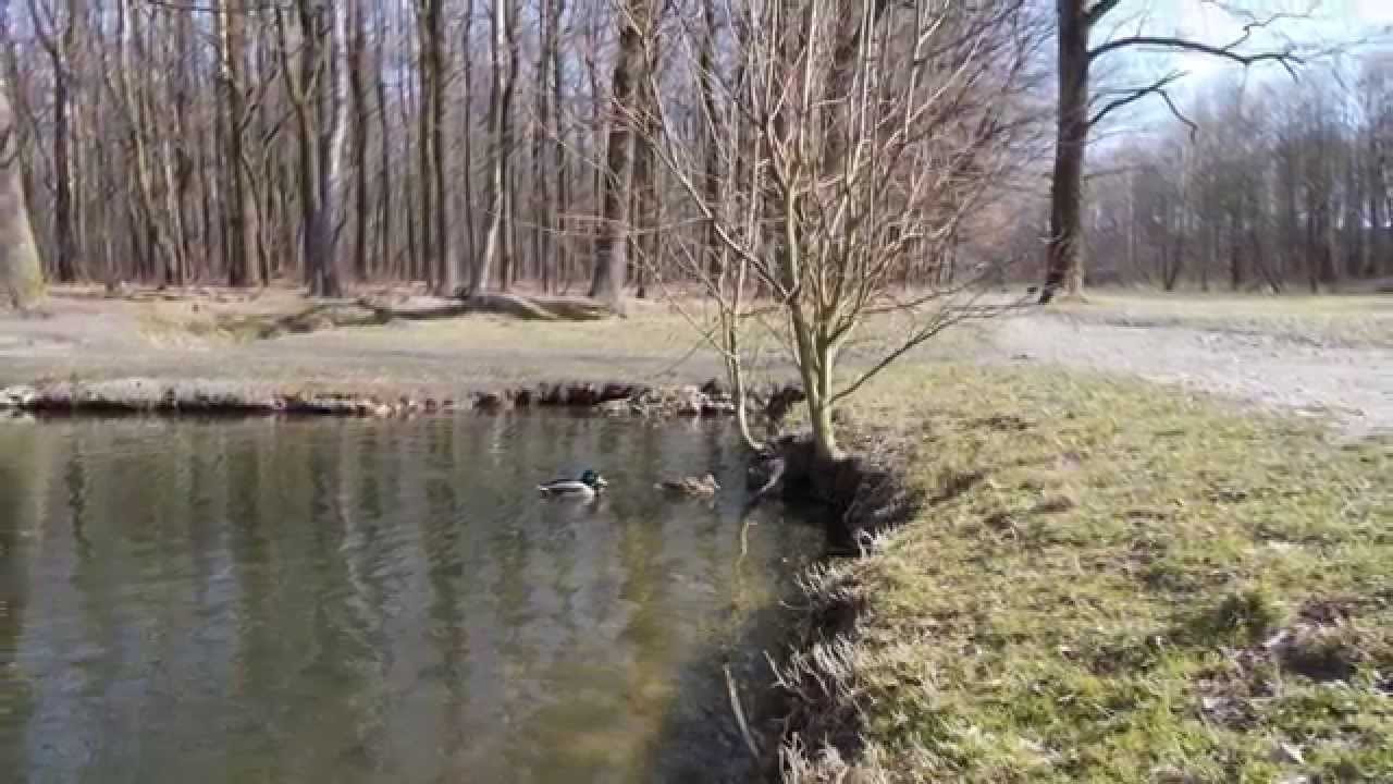 Zabrze - Park Leśny im. Powstańców Śląskich