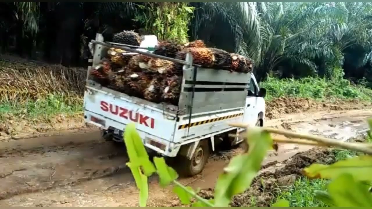 GASPOLL 300 PICK UP  VS MEGA CARRY  VS APV  MUATAN SAWIT