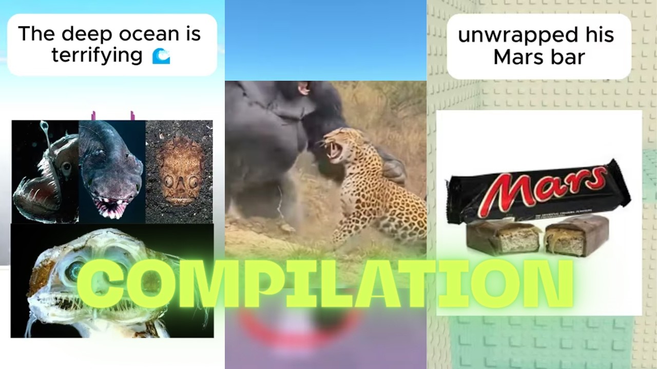 Rants Compilation #3
