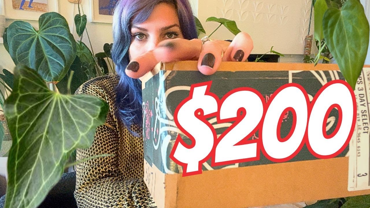 I Finally Got My Dream WISHLIST Plant! 🌟 Unboxing + Must-Know Care Tips!🪴