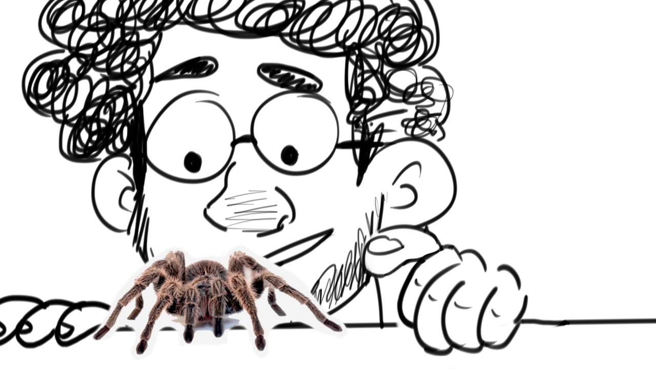 200,000 spiders [WTNV]