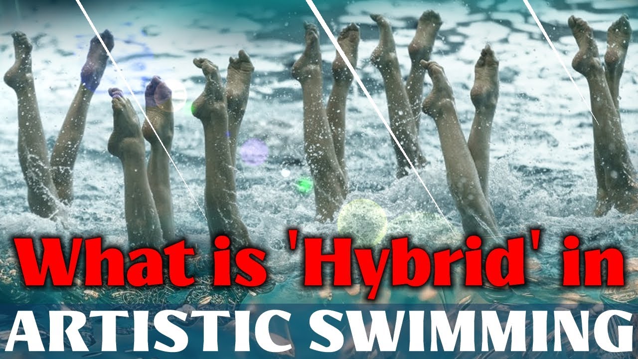 Exploring Hybrids: The Art of Artistic Swimming