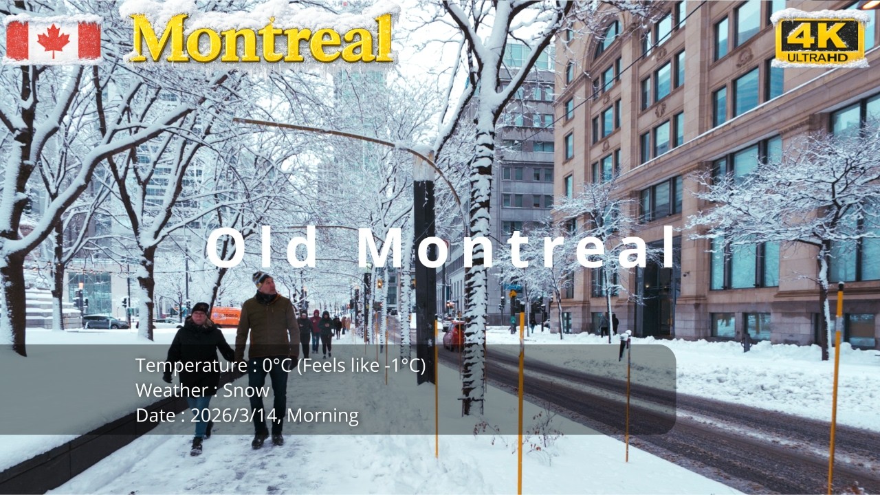 ❄️Montreal Buried in Snow | Peaceful Morning Walk in Old Montreal 4K #snowfall #snow