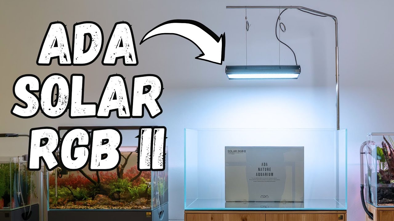 Mein erster Eindruck von der neuen ADA Solar RGB 2