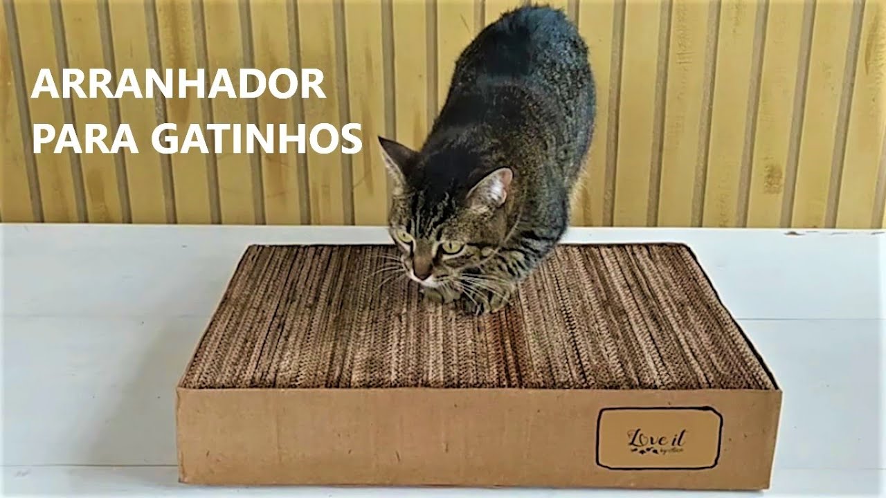 Arranhador para gatinhos