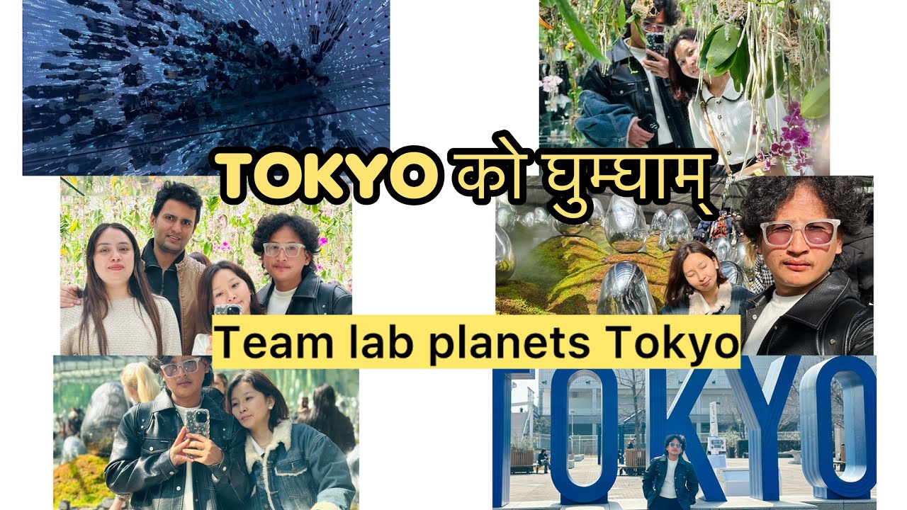 TOKYO TRAVELLING BLOG,TEAMLAB PLANET