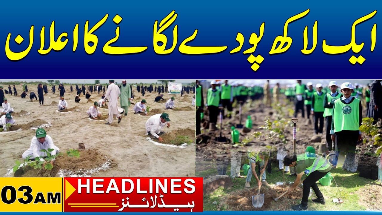 Announcement to plant one lakh saplings | 03 AM News Headlines I 10 Mar 2026 I City41