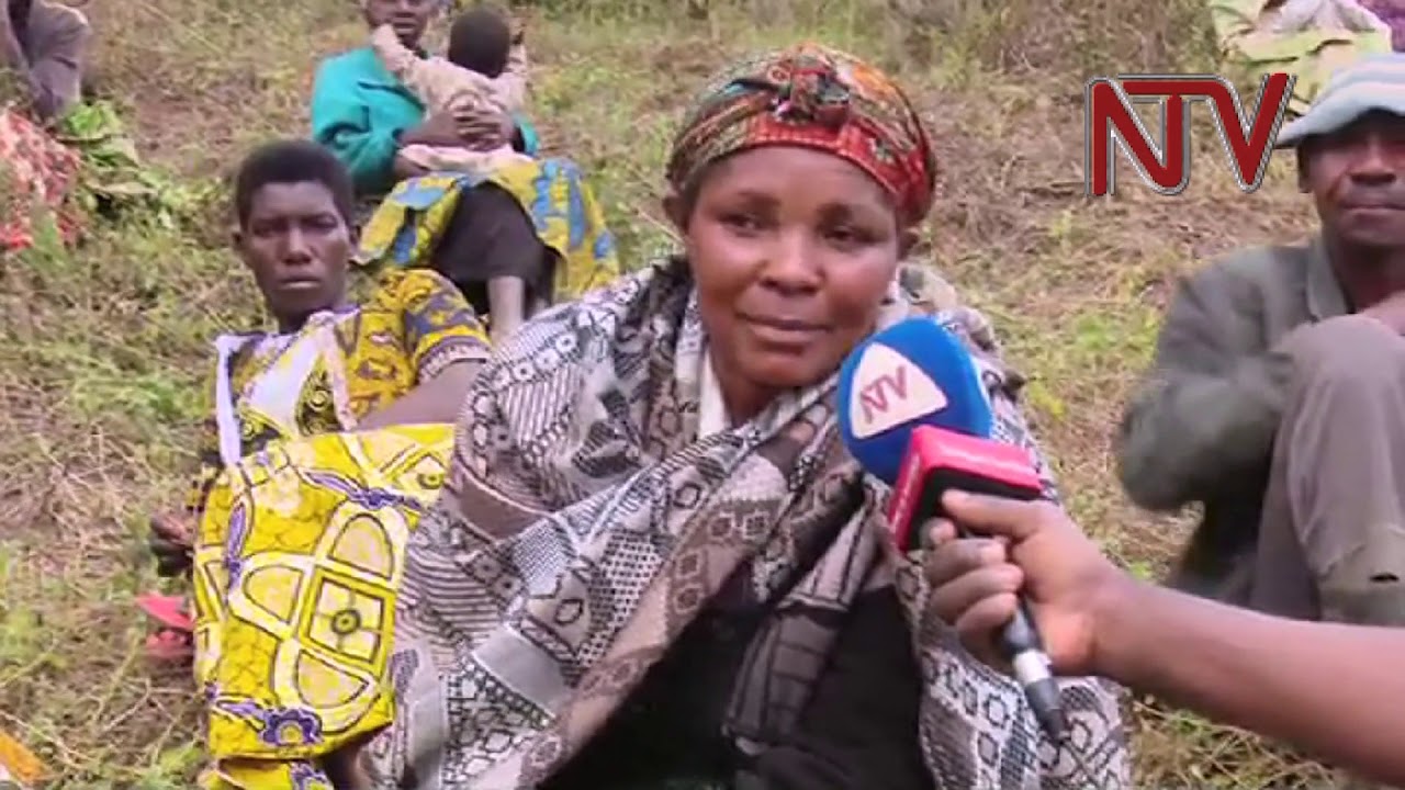 ON THE FARM: Irish potato varieties in Uganda