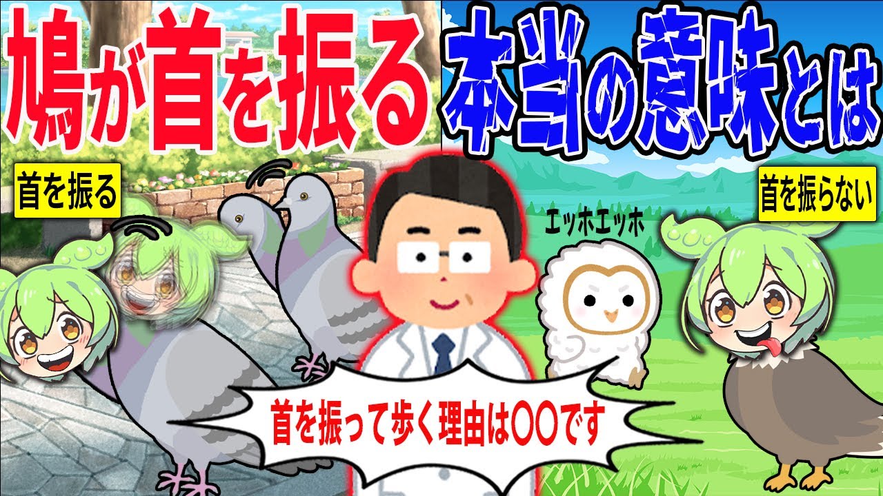 鳩が首を振って歩く本当の理由とは？【ずんだもん＆ゆっくり解説】