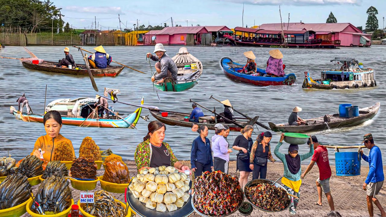 Lênh Đênh Nghề Mưu Sinh Sông Hậu | Chợ Châu Đốc Thiên Đường Mắm & Ẩm Thực