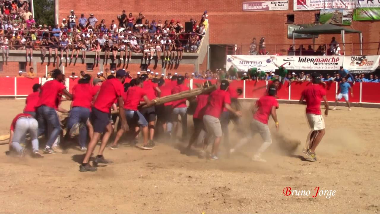 Touro de Aldeia Do Bispo passa por baixo do forc&atilde;o - XXI Festival ao Forc&atilde;o Rapazes - 2016