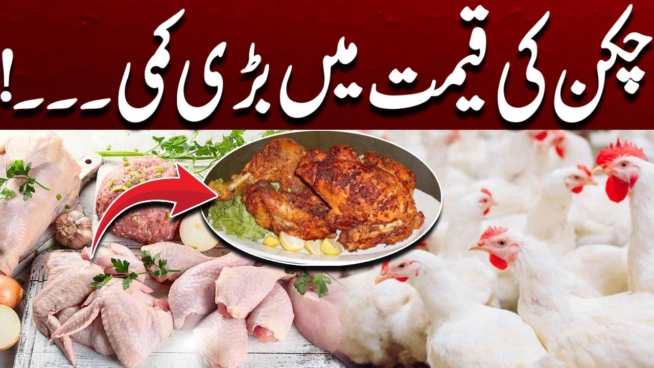 Big Increase in The Price of Chicken | Rate List | Latest Update | City 41