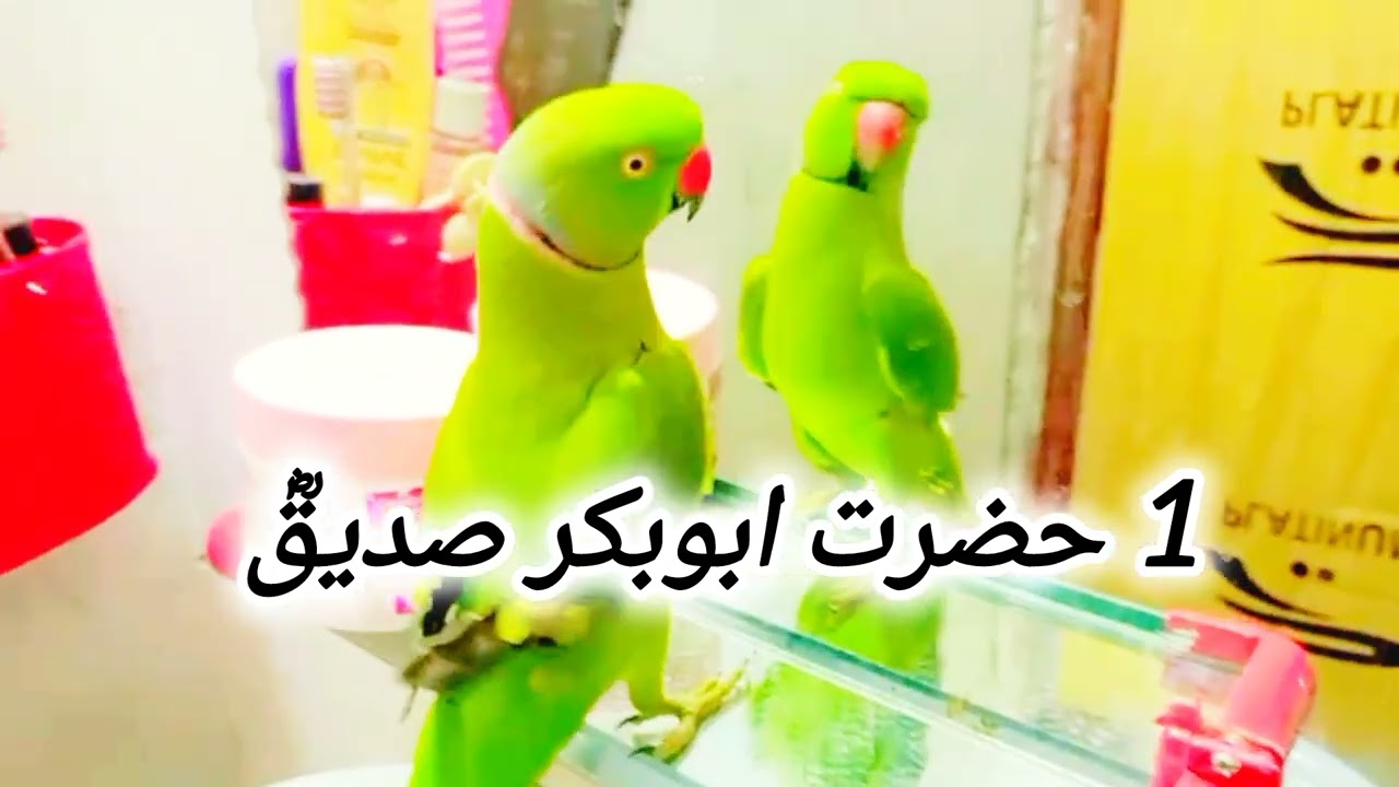 SubhanAllah! Pehle Khalifa ka Imaan aur Qurbani | Hazrat Abu Bakr (RA) ki Zindagi