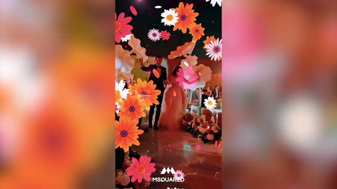 Lama X Ayman