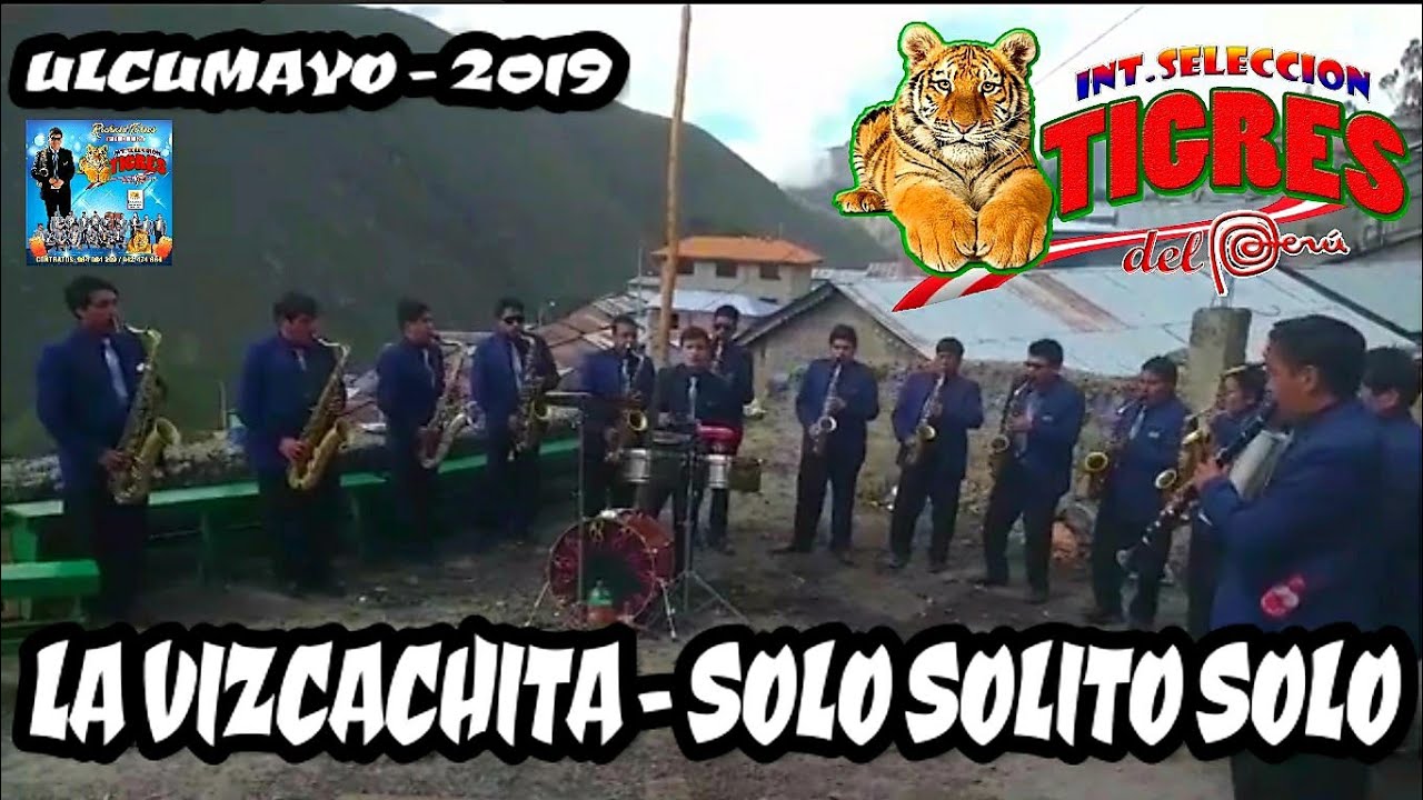 LA VIZCACHITA - SOLO SOLITO SOLO ( PARRANDAS ) | ORQUESTA INTERNACIONAL SELECCIÒN TIGRES DEL PERÙ