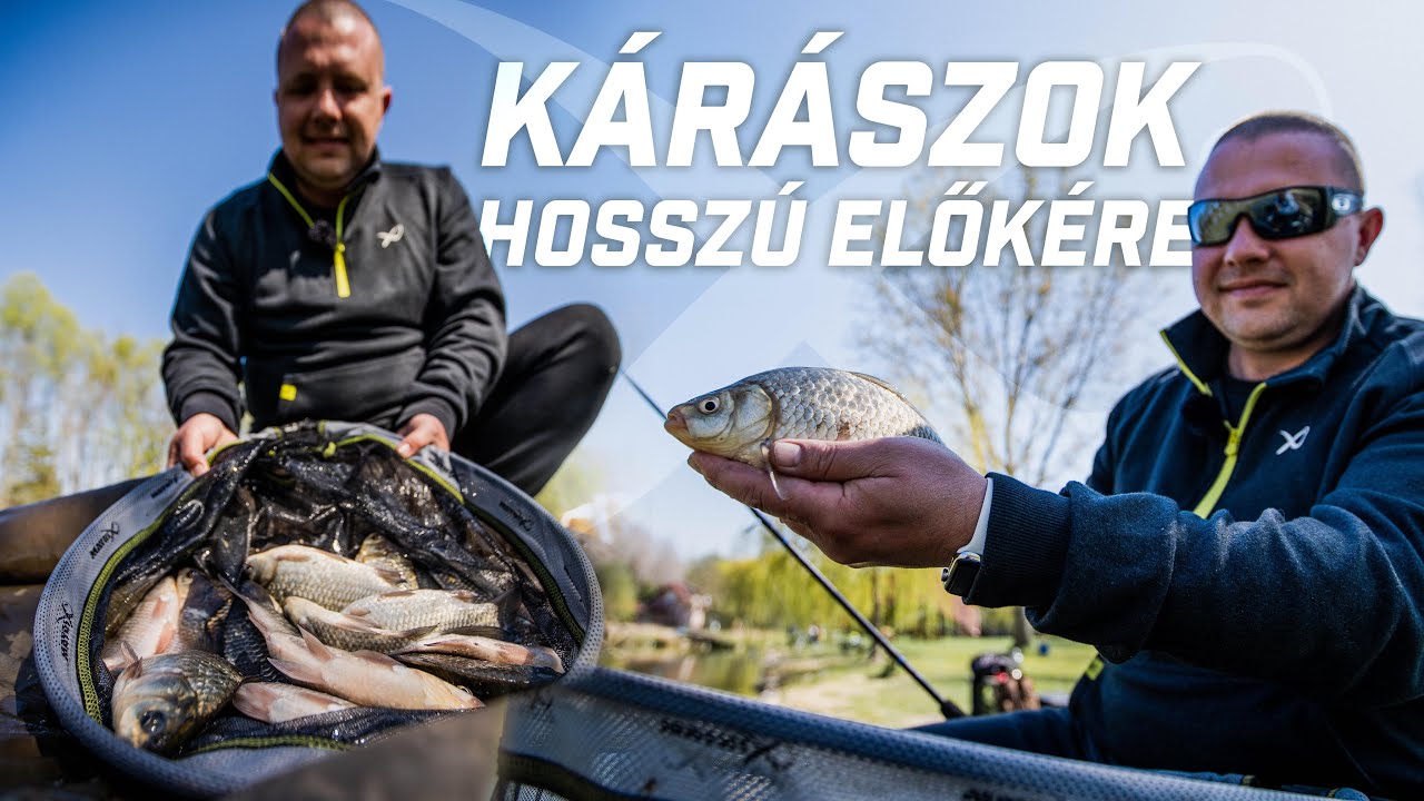 Kárászozás hosszú előkével - 3 órás RAPID feederezés