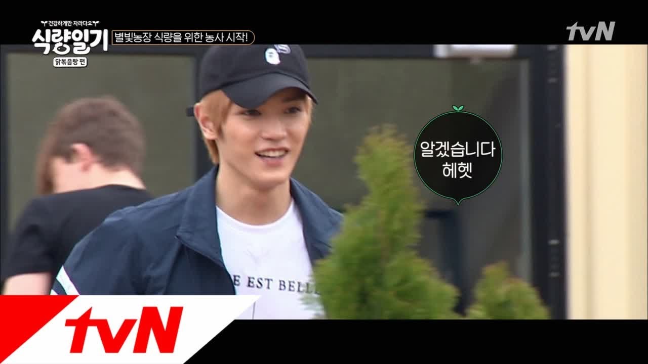 fooddiary 태용, 농부로 변신! 멍뭉아 방해하지마로라ㅠㅠ 180606 EP.2
